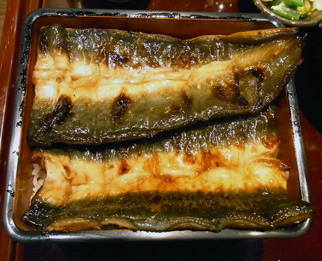 虎ノ門 うなぎのお宿>