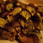 ロス・レイエス・マーゴス - 潮の香ただようリアルな（?）亀の手のアップ