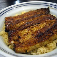 鰻割烹 伊豆栄 本店 - うな丼（梅）