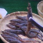 お祭り一番館 - 頭から食べれる海老