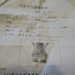 山猫軒 - 28年5月　見島牛証明書