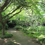 ふかほり邸 - 今宵のコースが益々楽しみに！