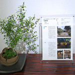 ふかほり邸 - 福岡県美しい街作り建築賞受賞