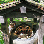 ふかほり邸 - 此処で毎朝とれる新鮮な卵