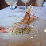 アル・ケッチァーノ - 牡丹海老と庄内はえぬき米のリゾット