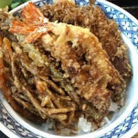 てんぷら天松 日本橋店 - 花てんどん