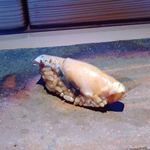 菊鮨 - 藁で燻した熟成鰆（2016.2）