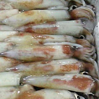 しまねお魚センター周辺でおすすめのグルメ情報をご紹介 食べログ しまねお魚センター周辺でおすすめのグルメ情報をご紹介 食べログ
