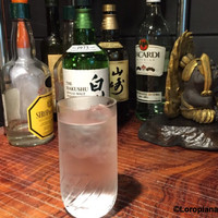 赤坂 津つ井 総本店 - 森薫る白州