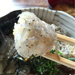 しらすや - 活きがいい生しらす