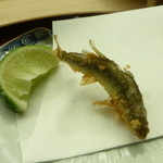 懐石料理 桝田 - 