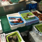 塩釜仲卸市場 マイ海鮮丼コーナー - 