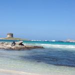 Ristorante La Pelosetta - 