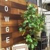 SOWGEN 四条店