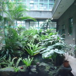 林華泰茶行 - 林華泰茶行の中庭。