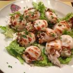 TRATTORIA CANONICA - 