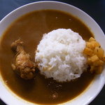 贋作インドカリー マシバシイネツルカモ - チキンカレー（並）