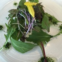 IL PINOLO 梅田 - 
