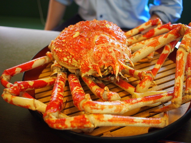 閉店 かにや 沼津港店 沼津 かに 食べログ 閉店 かにや 沼津港店 沼津 かに 食べログ