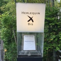 エルルカン・ビス - 