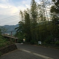 エルルカン・ビス - 