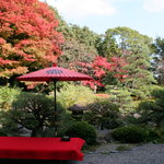 京都洛東迎賓館 レストラン秀岳 - 秋の紅葉した和庭園