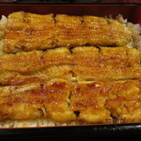 五代目 野田岩 麻布飯倉本店 - 