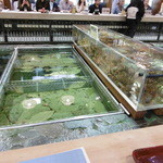 博多料亭 稚加榮 - 