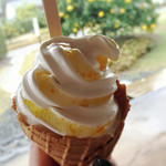 萩博物館レストラン - 夏みかんソフトクリーム