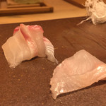 鮓 きずな - 明石 鯛、明石 あいなめ