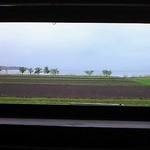 タロカフェ - 店内から眺める景色