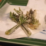 柳家 - 馬瀬産の コシアブラの天ぷら