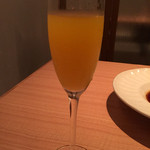 51404386 - ミモザ