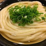うどん 丸香 - 冷かけうどん中盛@420円+60円