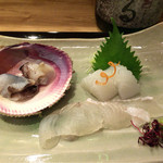 日本料理　翠 - 生とり貝、アオリイカ、ナマタガレイ