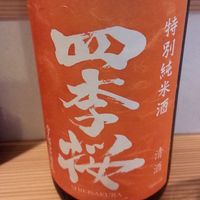 下町割烹とめだて - 栃木の四季桜（2016.5月追加）