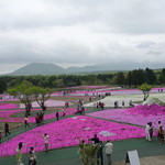 桜カフェ FUJIYAMA SWEETS - 展望広場からの景色♪