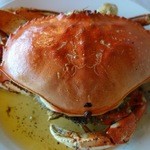 CRUSTACEAN - 