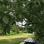 手打ちめん処 鍵 - 