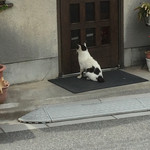 桐島家 - お客さん