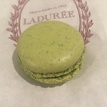Laduree - ピスタチオ