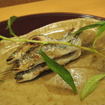 赤坂 詠月 - 琵琶湖の稚鮎2016.5