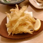 魚ひろ - 28年5月訪問①