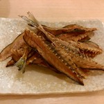 魚ひろ - 28年5月訪問②