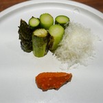 アカ - 16.5　アスパラ