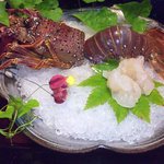 平山旅館 - 夕：伊勢海老の刺身