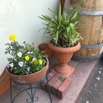 taverna la amico - エントランスに可愛い花鉢