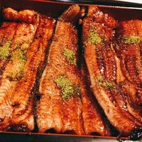 うなぎ川勢 - 