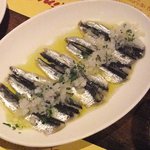 Spain Bar VITA - カタクチイワシの酢漬け