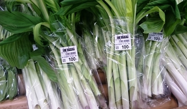 手まめ館 - 磐城塙（レストラン）の写真